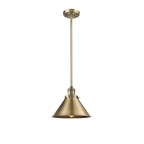 Wayfair Cone SinglePendant Lighting You Ll Love In 2024   Paylor 1   Light Single Pendant 